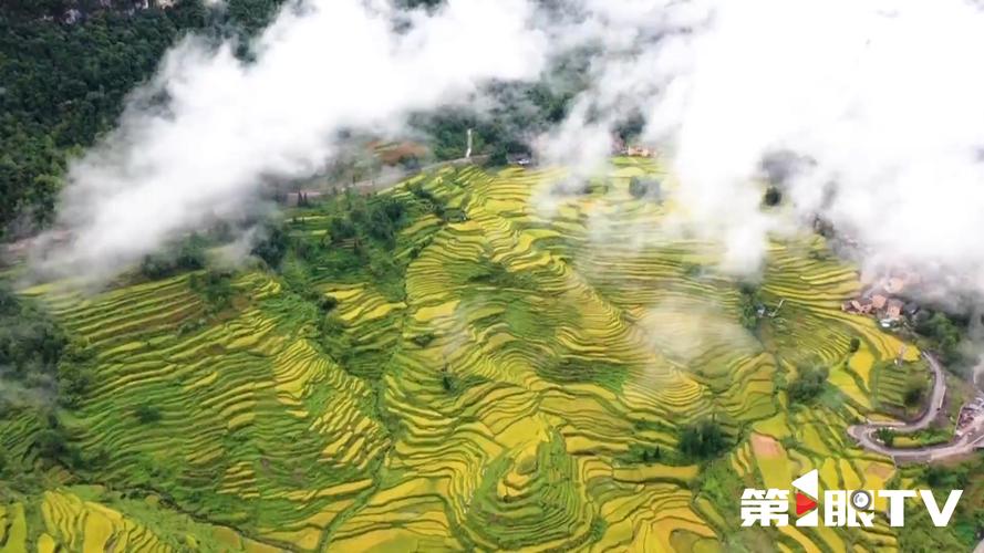 重庆企业勇当先锋 建设推广城乡融合乡村振兴示范区